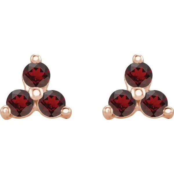 Three-Stone Cluster Earrings Image 2 Diny's Jewelers Middleton, WI