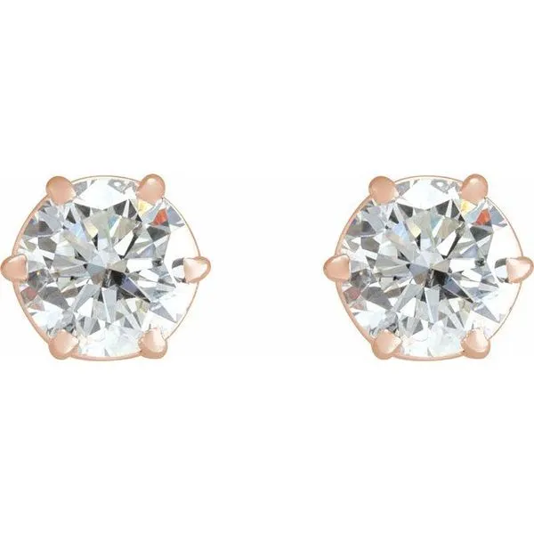 Round 6-Prong Stud Earrings Image 2 J. Meredith Jewelers Delafield, WI