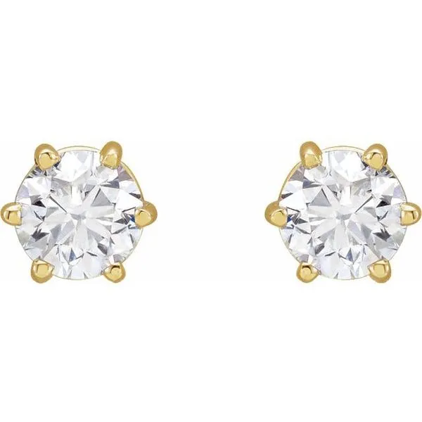 Round 6-Prong Stud Earrings Image 2 J. Meredith Jewelers Delafield, WI