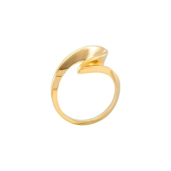 Freeform Ring Image 2 Michael's Jewelry North Wilkesboro, NC