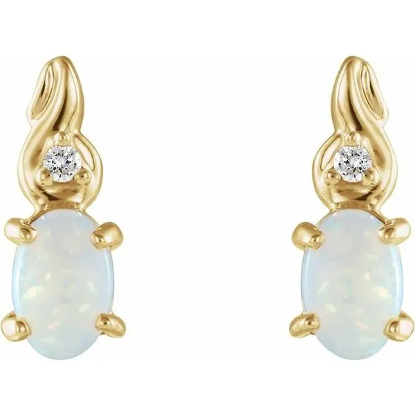 Accented Earrings Image 2 Woelk's House of Diamonds Russell, KS