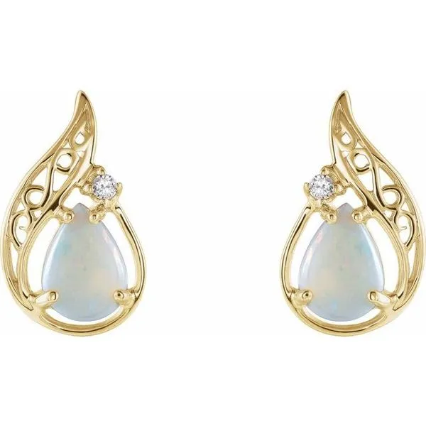 Accented Earrings Image 2 Holly's Jewelry Mountain Home, AR