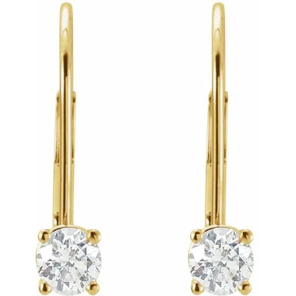 Round Lever Back Earrings Image 2 James Wolf Jewelers Mason, OH