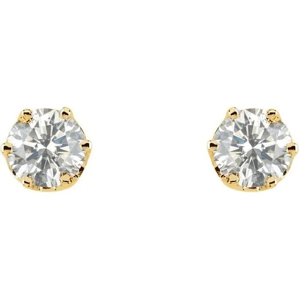 Round 6-Prong Stud Earrings Image 2 Cherry Street Jewelers Tulsa, OK