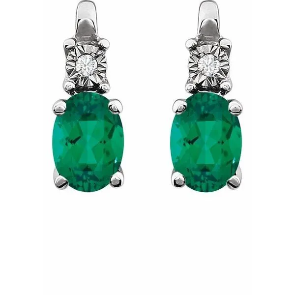 Accented Birthstone Earrings Image 2 J. Meredith Jewelers Delafield, WI