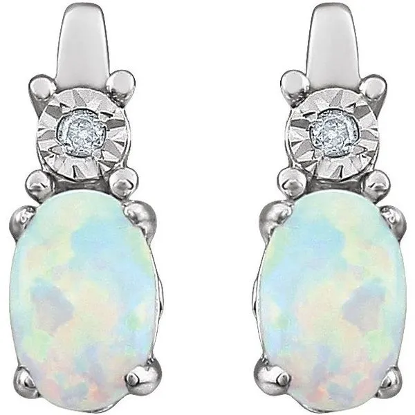 Accented Birthstone Earrings Image 2 J. Meredith Jewelers Delafield, WI