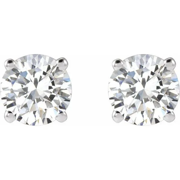 Round 4-Prong Lightweight Stud Earrings Image 2 J. Meredith Jewelers Delafield, WI