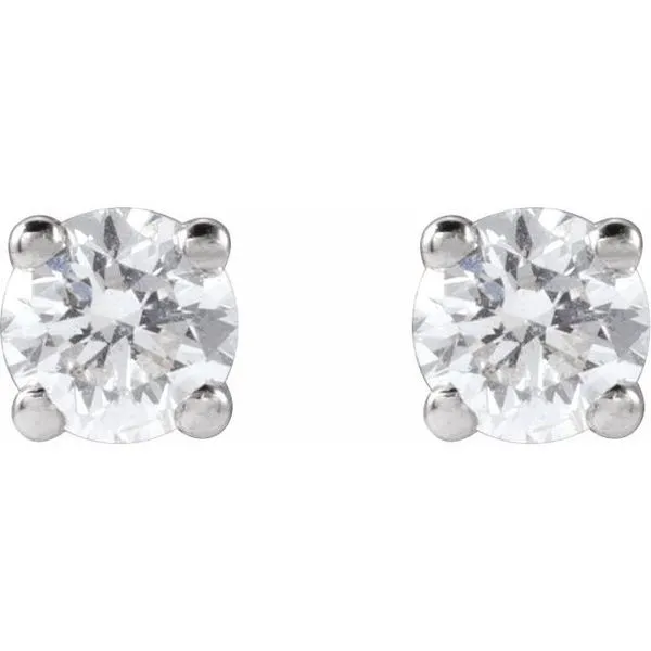 Round 4-Prong Lightweight Stud Earrings Image 2 J. Meredith Jewelers Delafield, WI