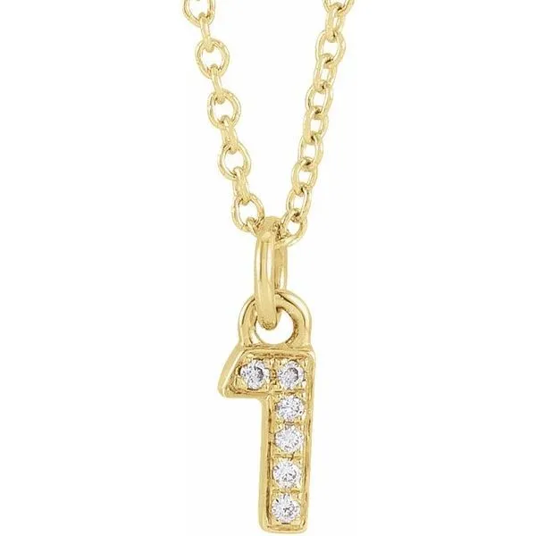 Petite Pavé™ Accented Numeral Necklace Long Jewelers Chesapeake, VA