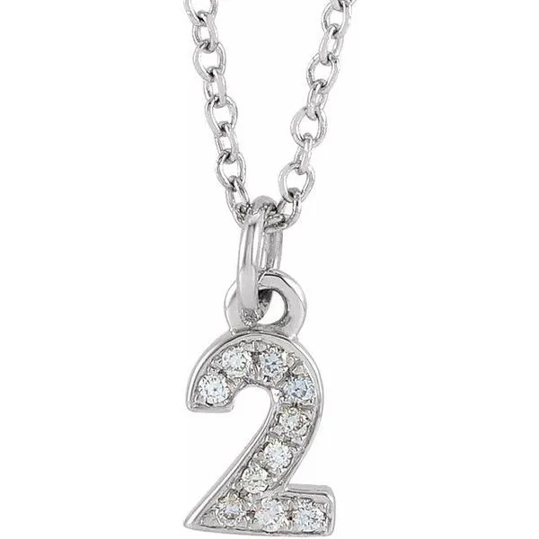 Petite Pavé™ Accented Numeral Necklace James Wolf Jewelers Mason, OH