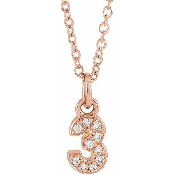 Petite Pavé™ Accented Numeral Necklace James Wolf Jewelers Mason, OH