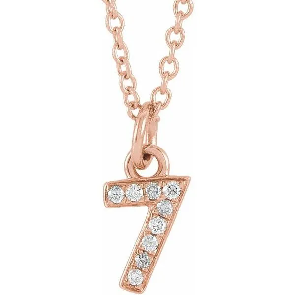 Petite Pavé™ Accented Numeral Necklace James Wolf Jewelers Mason, OH
