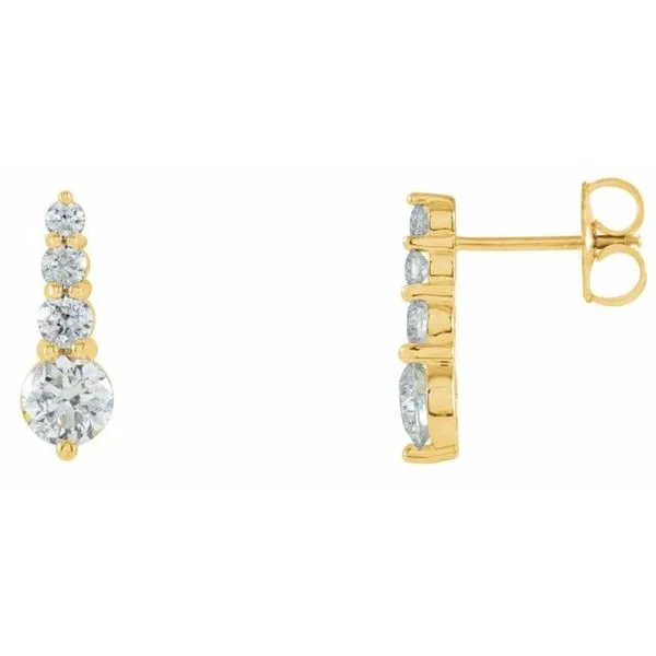 Journey Earrings Hopman Jewelers Elkhart, IN