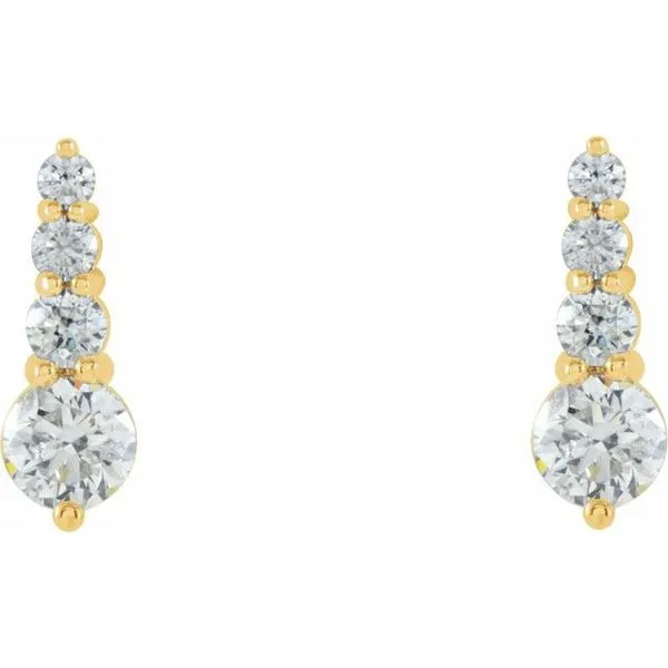 Journey Earrings Image 2 J. Meredith Jewelers Delafield, WI