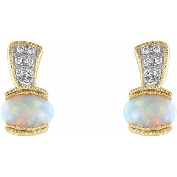 Accented Earrings Image 2 Hopman Jewelers Elkhart, IN