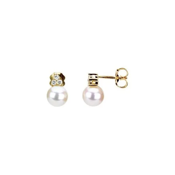 Accented Pearl Earrings Holly's Jewelry Mountain Home, AR