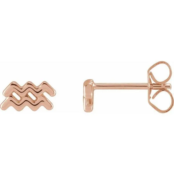 Zodiac Earrings Douglas Jewelers Conroe, TX