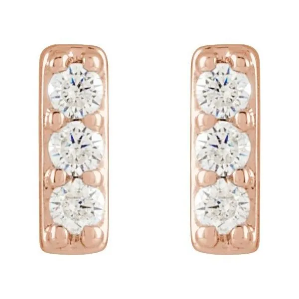 Accented Bar Earrings Image 2 Hart's Jewelers Grants Pass, OR