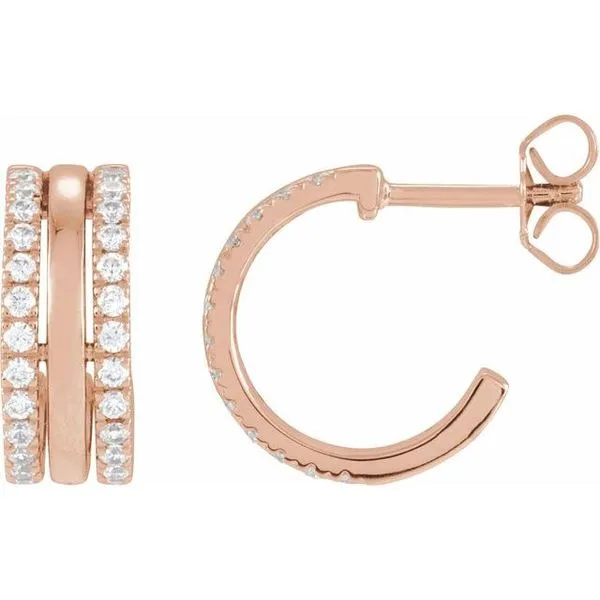 Accented Earrings Hopman Jewelers Elkhart, IN