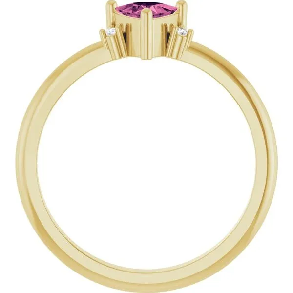 Accented Ring Image 2 Hopman Jewelers Elkhart, IN