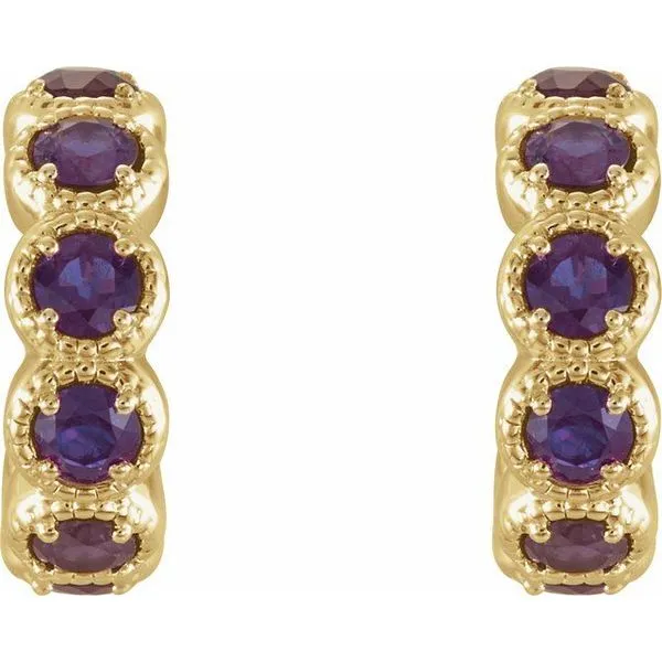 Accented Hoop Earrings Image 2 Long Jewelers Chesapeake, VA