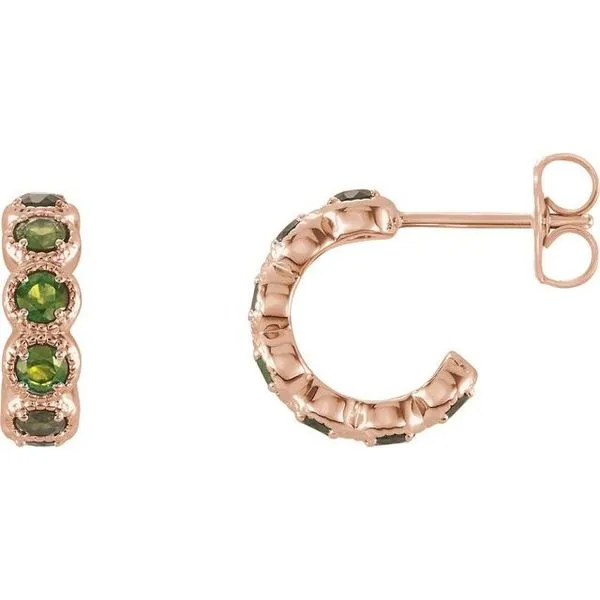 Accented Hoop Earrings Smith Jewelers Franklin, VA