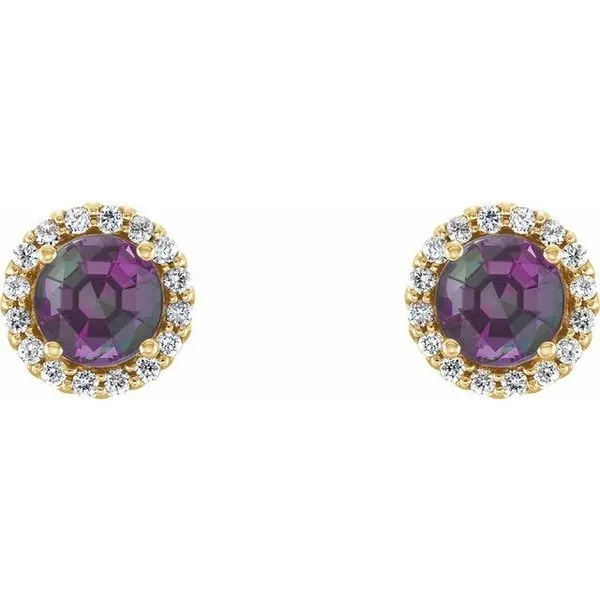 Round 4-Prong Halo-Style Earrings Image 2 Holly's Jewelry Mountain Home, AR