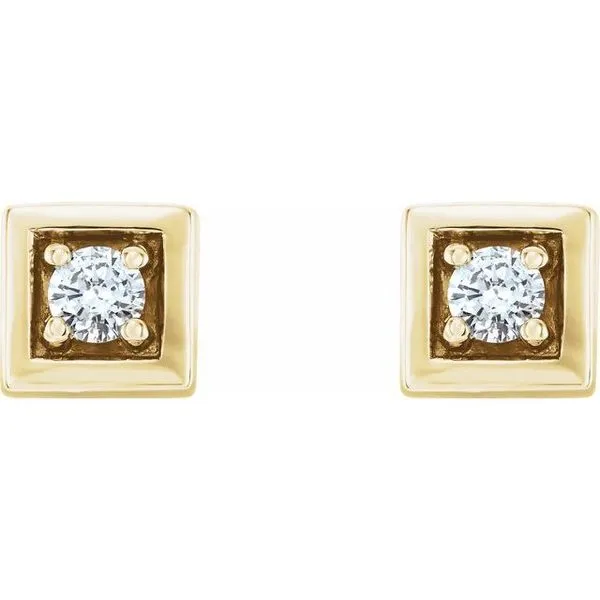 Accented Earrings Image 2 James & Williams Jewelers Berwyn, IL