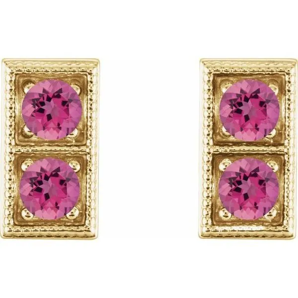 Two-Stone Earrings Image 2 James & Williams Jewelers Berwyn, IL