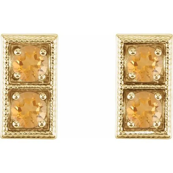 Two-Stone Earrings Image 2 Leslie E. Sandler Fine Jewelry and Gemstones rockville , MD