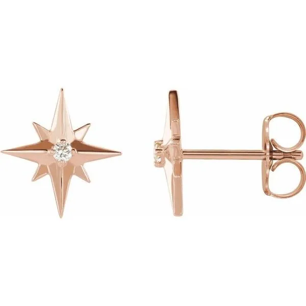 Accented Star Earrings Scirto's Jewelry Lockport, NY