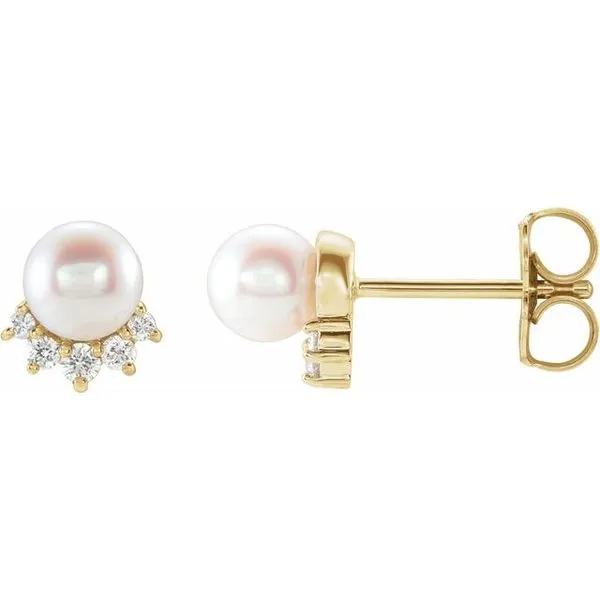 Accented Pearl Earrings Diny's Jewelers Middleton, WI