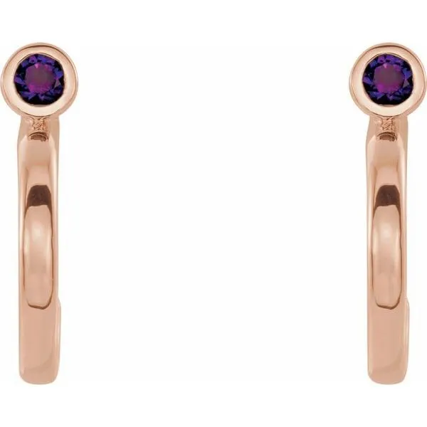 Bezel-Set Hoop Earrings Image 2 Woelk's House of Diamonds Russell, KS