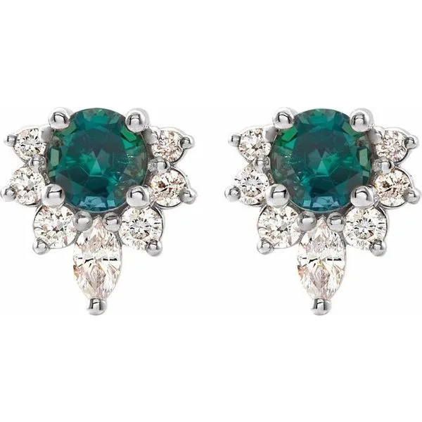 Accented Earrings Image 2 Leslie E. Sandler Fine Jewelry and Gemstones rockville , MD