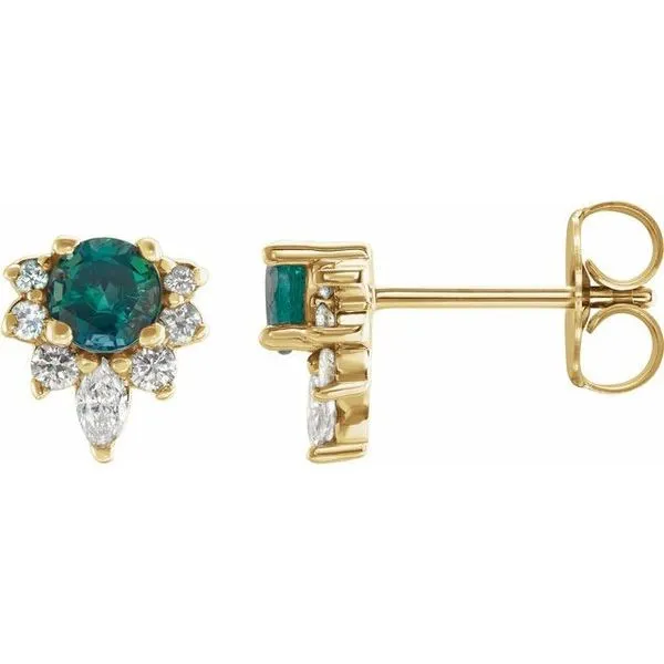 Accented Earrings Leslie E. Sandler Fine Jewelry and Gemstones rockville , MD