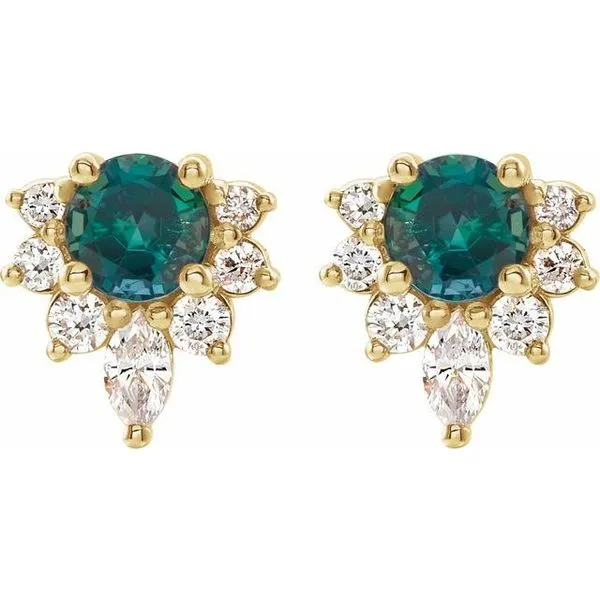 Accented Earrings Image 2 Leslie E. Sandler Fine Jewelry and Gemstones rockville , MD