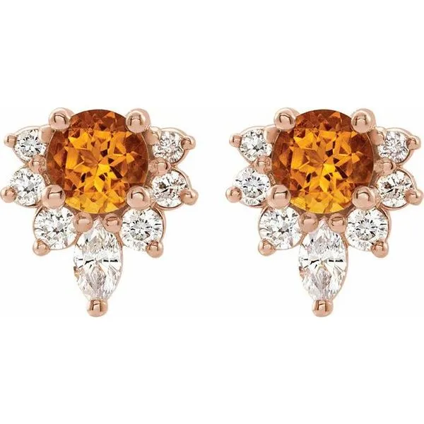 Accented Earrings Image 2 Leslie E. Sandler Fine Jewelry and Gemstones rockville , MD