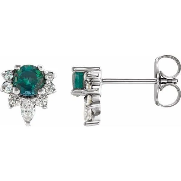 Accented Earrings Leslie E. Sandler Fine Jewelry and Gemstones rockville , MD