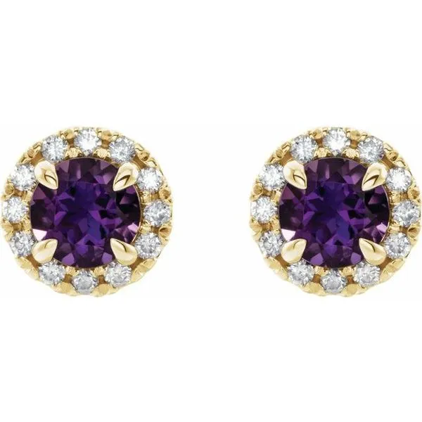 French-Set Halo-Style Earrings Image 2 Long Jewelers Chesapeake, VA