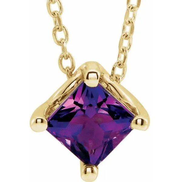 Solitaire Necklace or Slide Pendant Hopman Jewelers Elkhart, IN