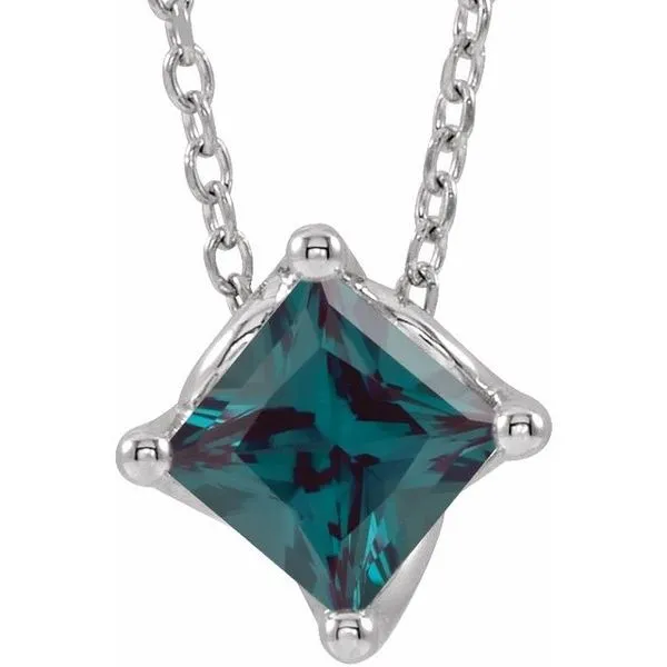 Solitaire Necklace or Slide Pendant J. Meredith Jewelers Delafield, WI