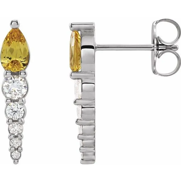Accented Bar Earrings Leslie E. Sandler Fine Jewelry and Gemstones rockville , MD