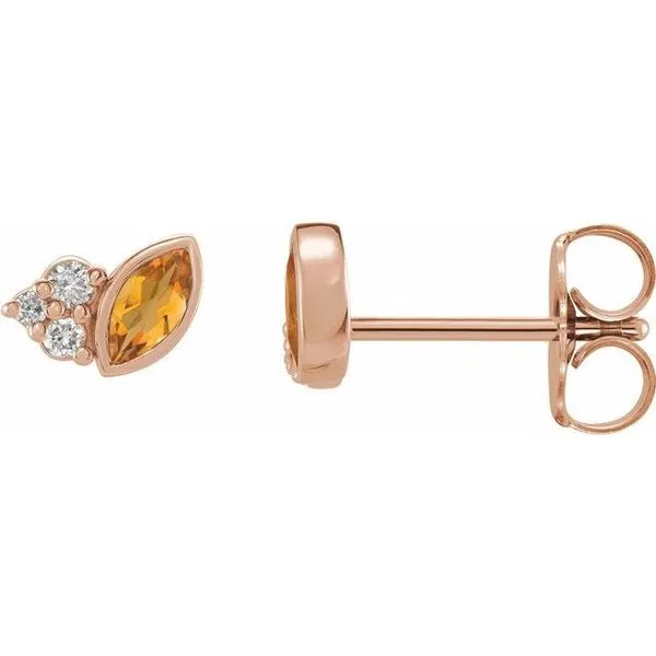 Accented Bezel-Set Earrings Long Jewelers Chesapeake, VA