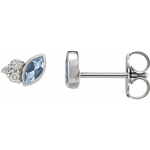 Accented Bezel-Set Earrings Austin's Fine Diamonds & Jewelry Lyndhurst, NJ