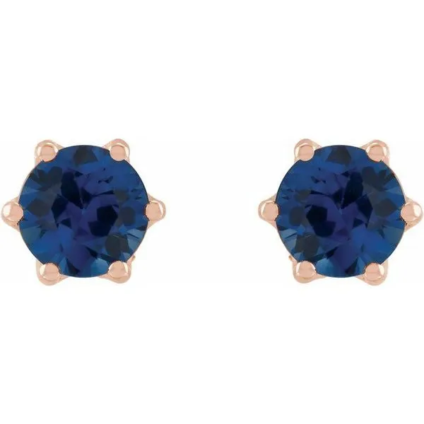 Round 6-Prong Accented Crown Stud Earrings Image 2 Milan's Jewelry Inc Sarasota, FL
