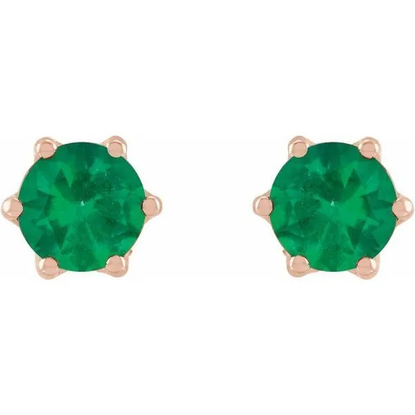 Round 6-Prong Accented Crown Stud Earrings Image 2 Milan's Jewelry Inc Sarasota, FL