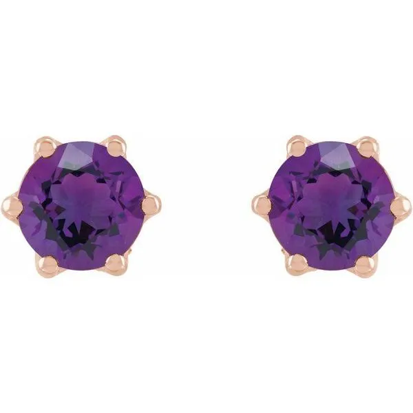 Round 6-Prong Accented Crown Stud Earrings Image 2 Milan's Jewelry Inc Sarasota, FL