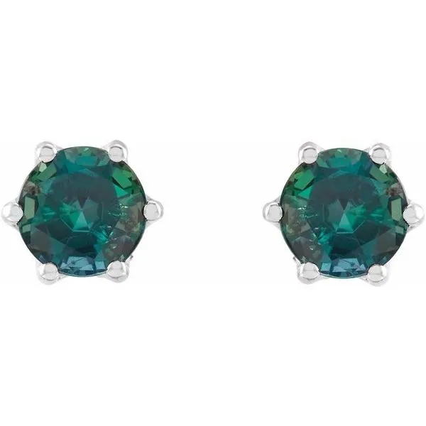 Round 6-Prong Accented Crown Stud Earrings Image 2 Milan's Jewelry Inc Sarasota, FL