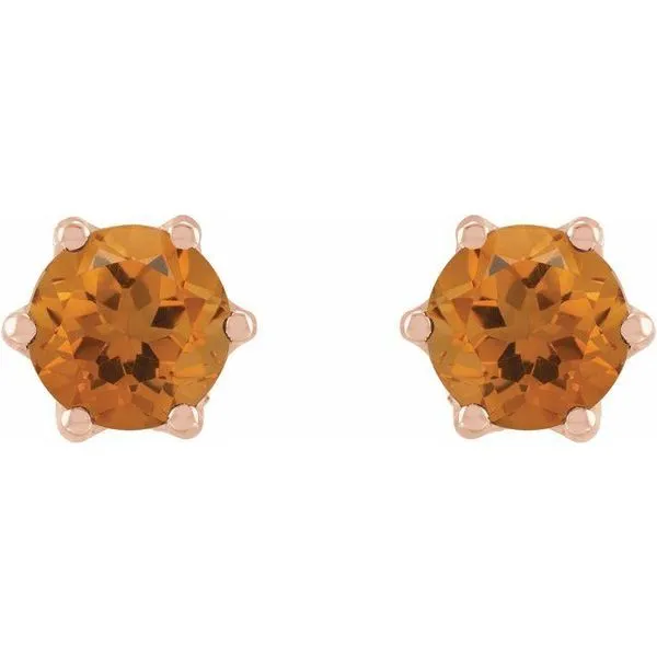Round 6-Prong Accented Crown Stud Earrings Image 2 Milan's Jewelry Inc Sarasota, FL