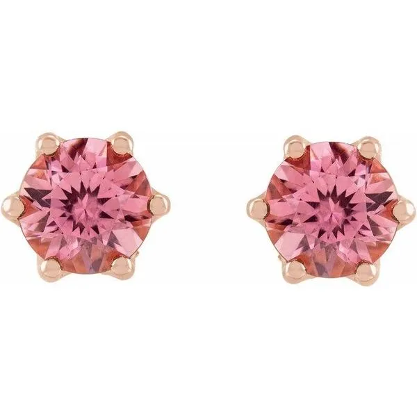 Round 6-Prong Accented Crown Stud Earrings Image 2 Milan's Jewelry Inc Sarasota, FL